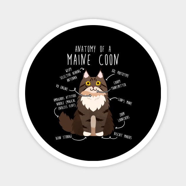 Maine Coon Cat Anatomy Magnet by Psitta